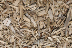 biomass boilers Thirn